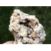 Chalcedon